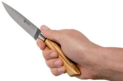 Böker Arbolito Gaucho Olive Steak Knife 12.3 Cm 03BA5730 -Böker Store BO03BA5730 06 boker arbolito
