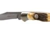 Böker Junior Scout 111910 Stag, Pocket Knife -Böker Store BO111910 01 boker