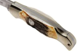 Böker Junior Scout 111910 Stag, Pocket Knife -Böker Store BO111910 07 boker