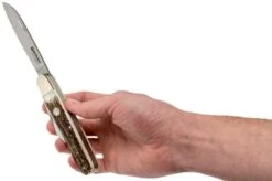 Böker Enigma Stag Horn 113031 Pocket Knife 11 Böker Enigma Stag Horn 113031 Pocket Knife -Böker Store BO113031 05 boker