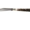 Böker Delicate Stag 119955 Pocket Knife 2 Böker Delicate Stag 119955 Pocket Knife -Böker Store BO119955 01 boker