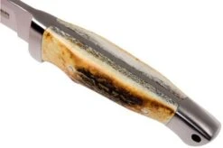 Böker Vollintegral 2.0 Stag Horn 121586 Hunting Knife -Böker Store BO121586 05 boker bo121586 05 1